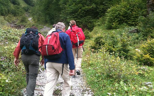 Wandern & Walken