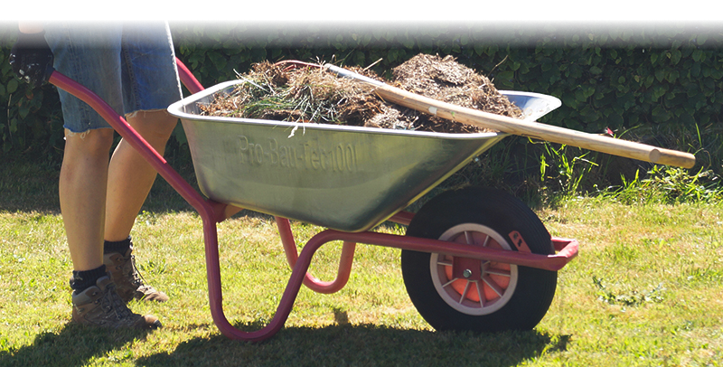 Professioneller Gartenbau
